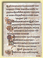 July 13th, 2014 A.D. - Fifteenth Sunday in Ordinary Time