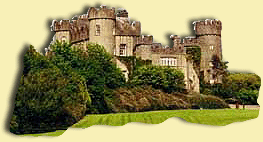 WELL, the new teacher was very nice and very funny, funnier than the worst of the goffy boys and nicer than the nicest of the good girls. There�s nothing to revolt against, the kids said. Well, thank goodness it�s over. Now lets have a celebration. After school the teacher said. So they had the celebration after school. And they all lived happily ever after. Well, more or less