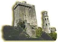 April 25th, 2004 Third Sunday of Easter Jn 21/ 21-14