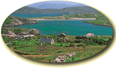 June 18th 2008 - Caught between a shamrock and a hard place