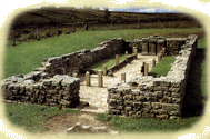 May 14th 2006 A.D. - 5th Sunday of Easter John 15/1-8