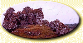 The day the deal was signed he went out to the south forty and begun to dig. You know what he found? No it wasn't a Roman soldier, it was a centurion, a Roman officer! The farmer sold the grave site and the field around it to a museum down East for five million dollars