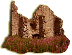 November 18th, 2012 A.D. - 33rd Sunday in Ordinary Time Mk 13/24-32