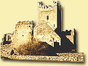 October 12th, 2014 A.D., Twenty-eighth Sunday in Ordinary Time