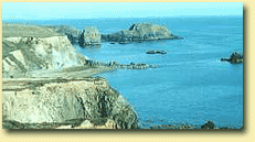 July 20th Sixthteenth  Sunday in Ordinary Time Lk 10/38-42