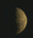 Quarter Moon 
